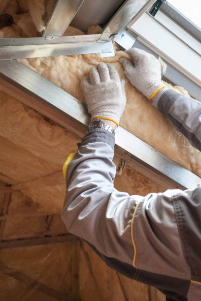 Best Insulation Maintenance and Repair in Barrington, IL